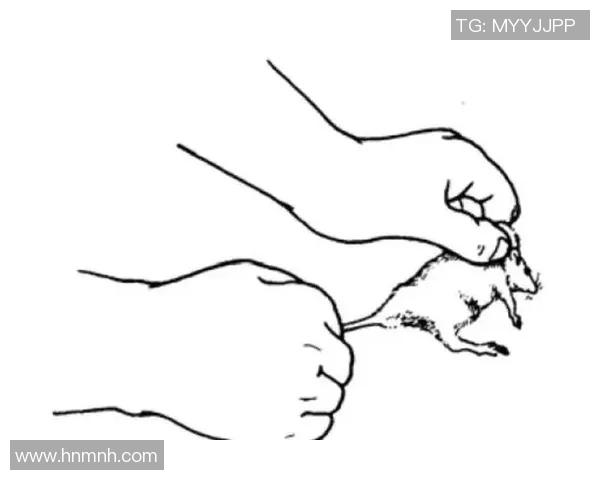 科学攀岩训练指南：提升个人能力的有效方法与技巧分享