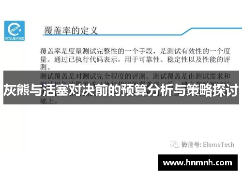 灰熊与活塞对决前的预算分析与策略探讨