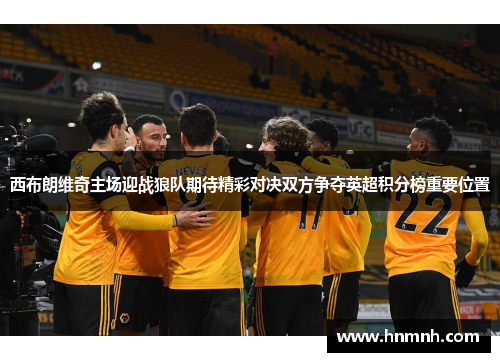 西布朗维奇主场迎战狼队期待精彩对决双方争夺英超积分榜重要位置